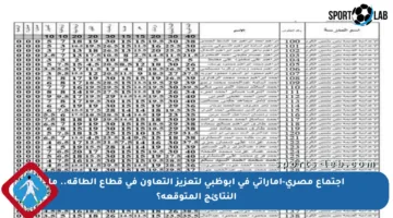 اجتماع مصري-إماراتي في أبوظبي لتعزيز التعاون في قطاع الطاقة.. ما النتائج المتوقعة؟